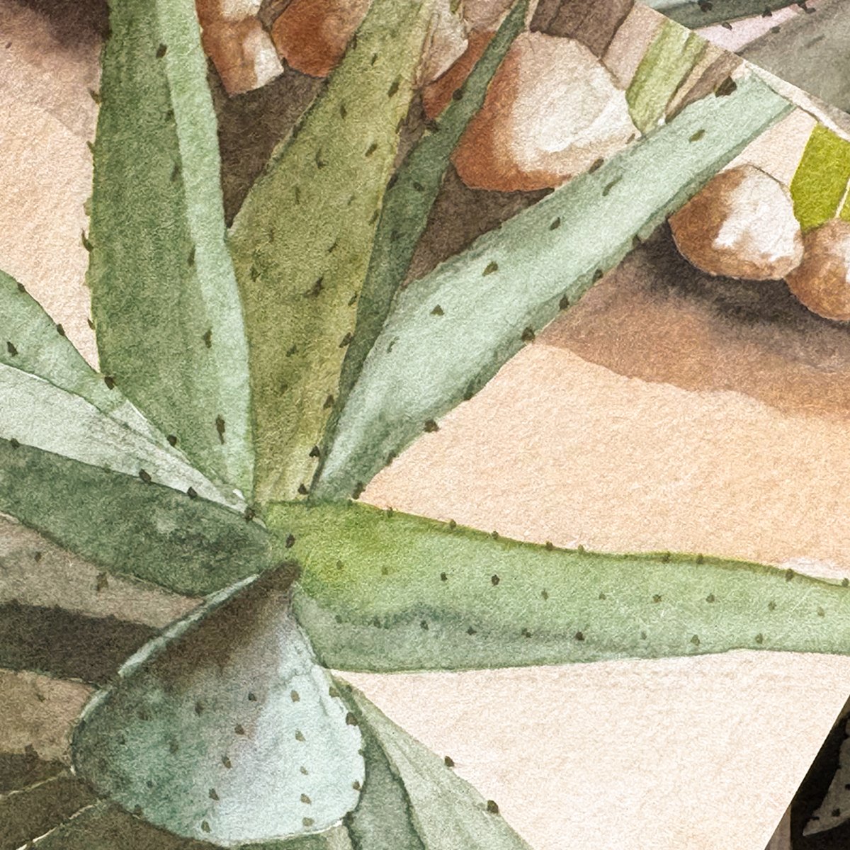 Classic Desert | Sian Zeng Classic Desert | Sian Zeng