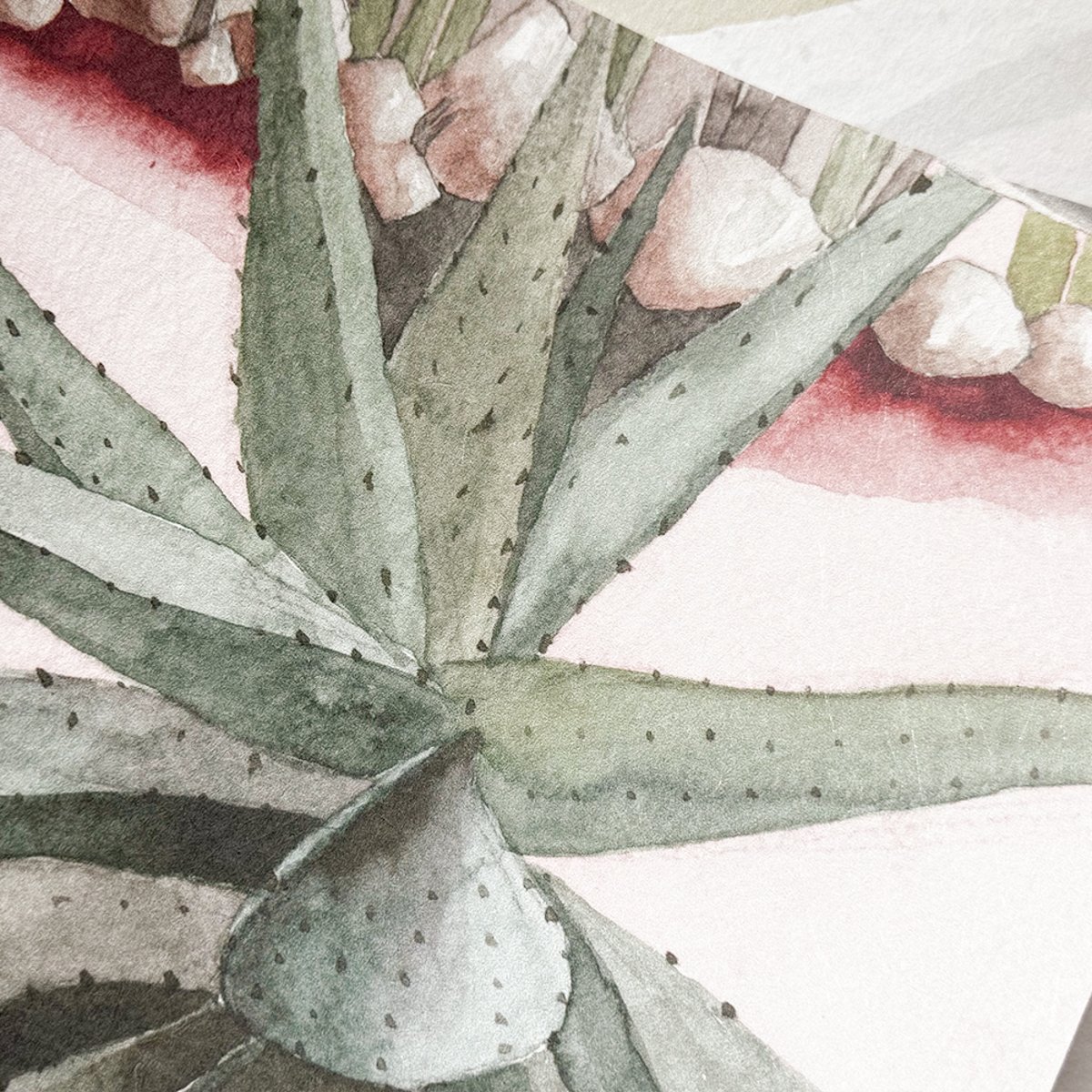 Classic Desert Pink Sand | Sian Zeng Classic Desert Pink Sand | Sian Zeng