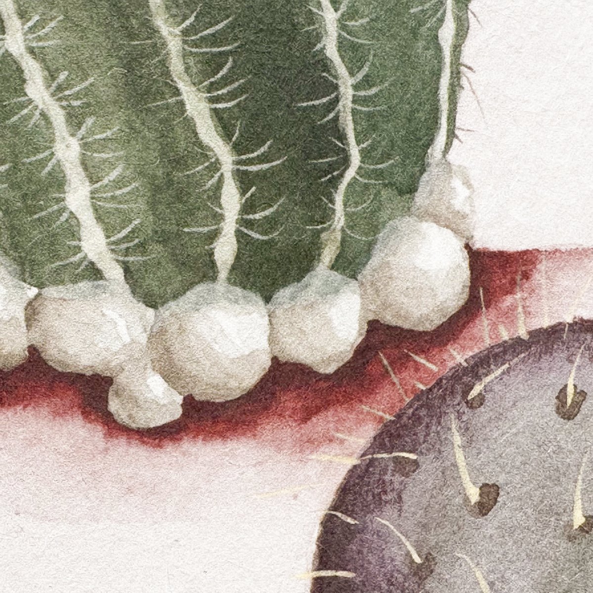 Classic Desert Pink Sand | Sian Zeng Classic Desert Pink Sand | Sian Zeng