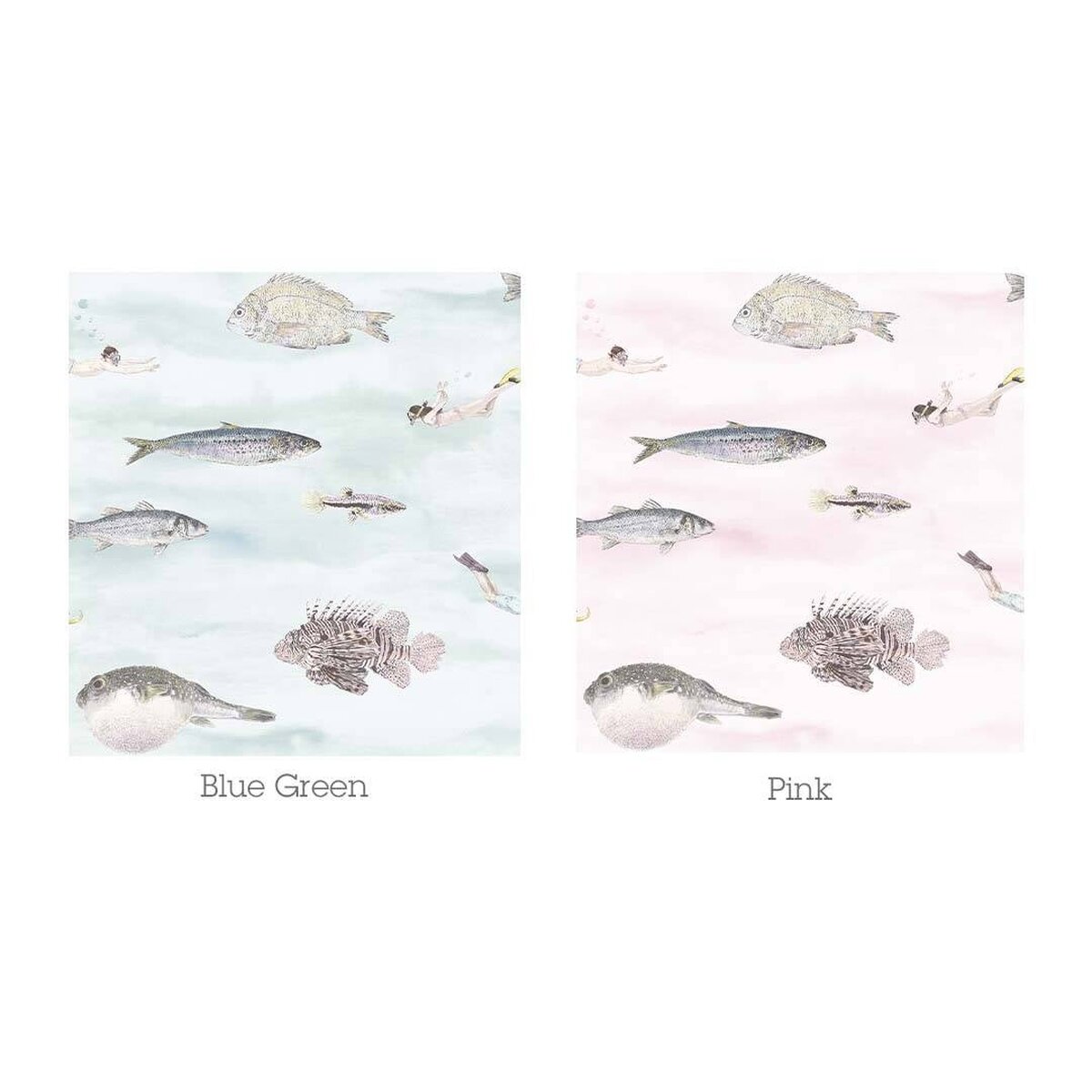 Fish Pink | Sian Zeng Fish Pink | Sian Zeng