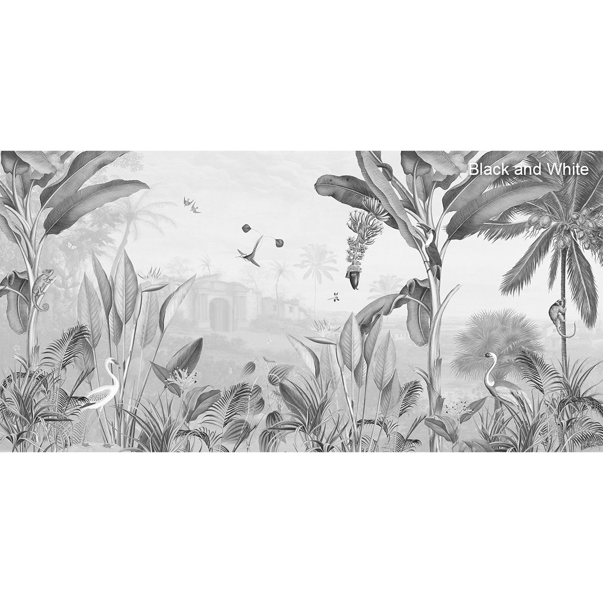 Sir Edward | Botanical Beauty Sir Edward | Botanical Beauty