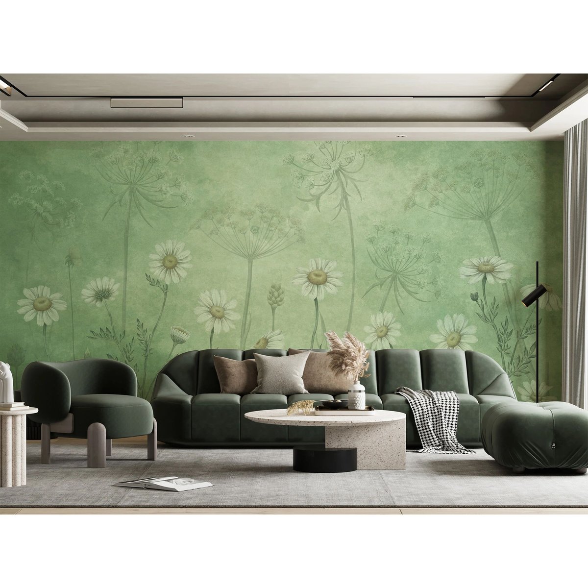 Sir Edward | Dazzling Daisies Sir Edward | Dazzling Daisies