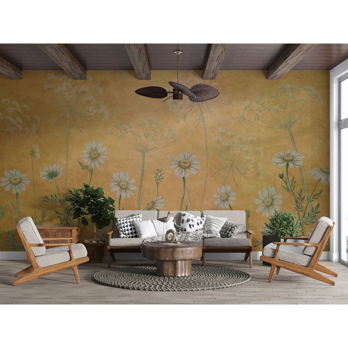 Sir Edward | Dazzling Daisies Sir Edward | Dazzling Daisies