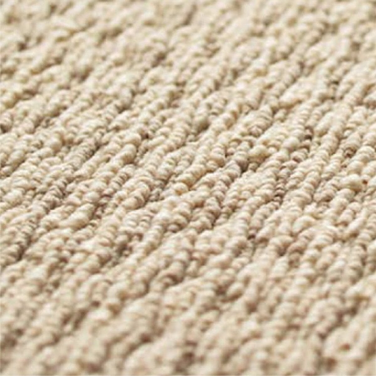 Toli / Pets Carpet / AK9502 Toli / Pets Carpet / AK9502