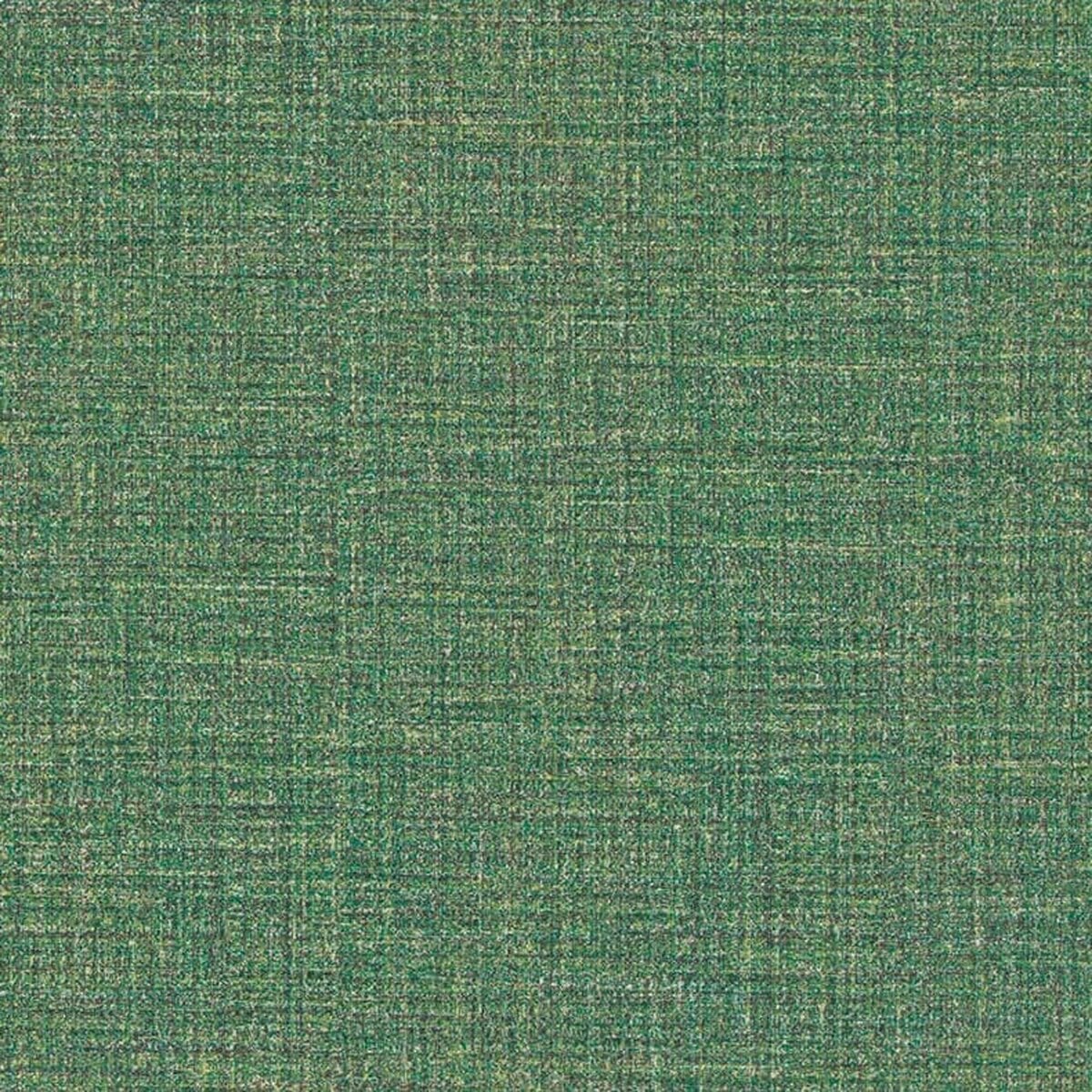 Toli | Floorium Lattice NW Toli | Floorium Lattice NW