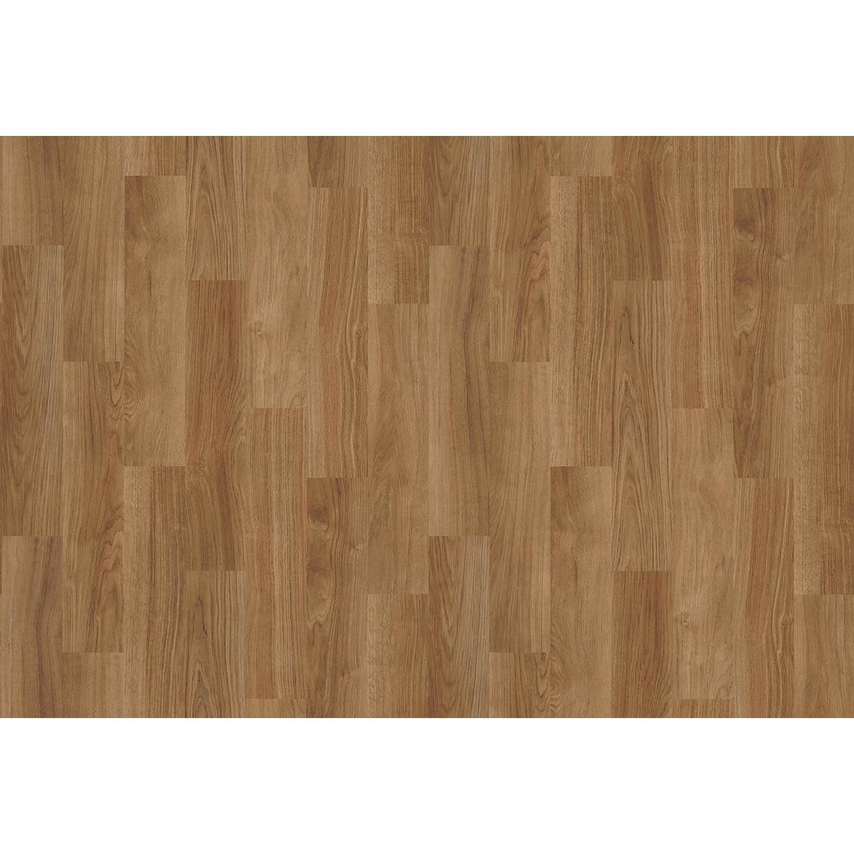 Toli | Arena Fit | Design I Toli | Arena Fit | Design I