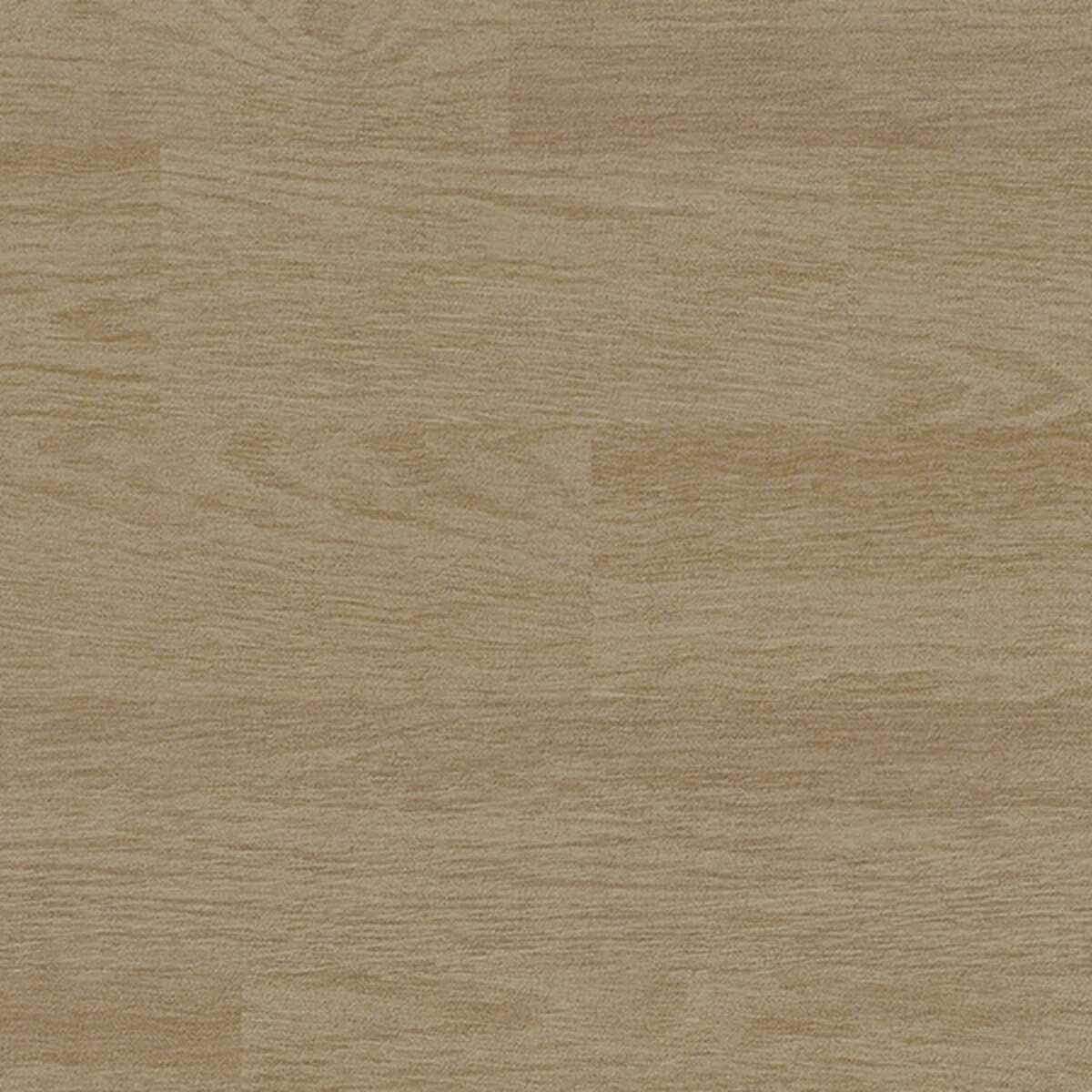 Toli | NS800 | Design IV Toli | NS800 | Design IV