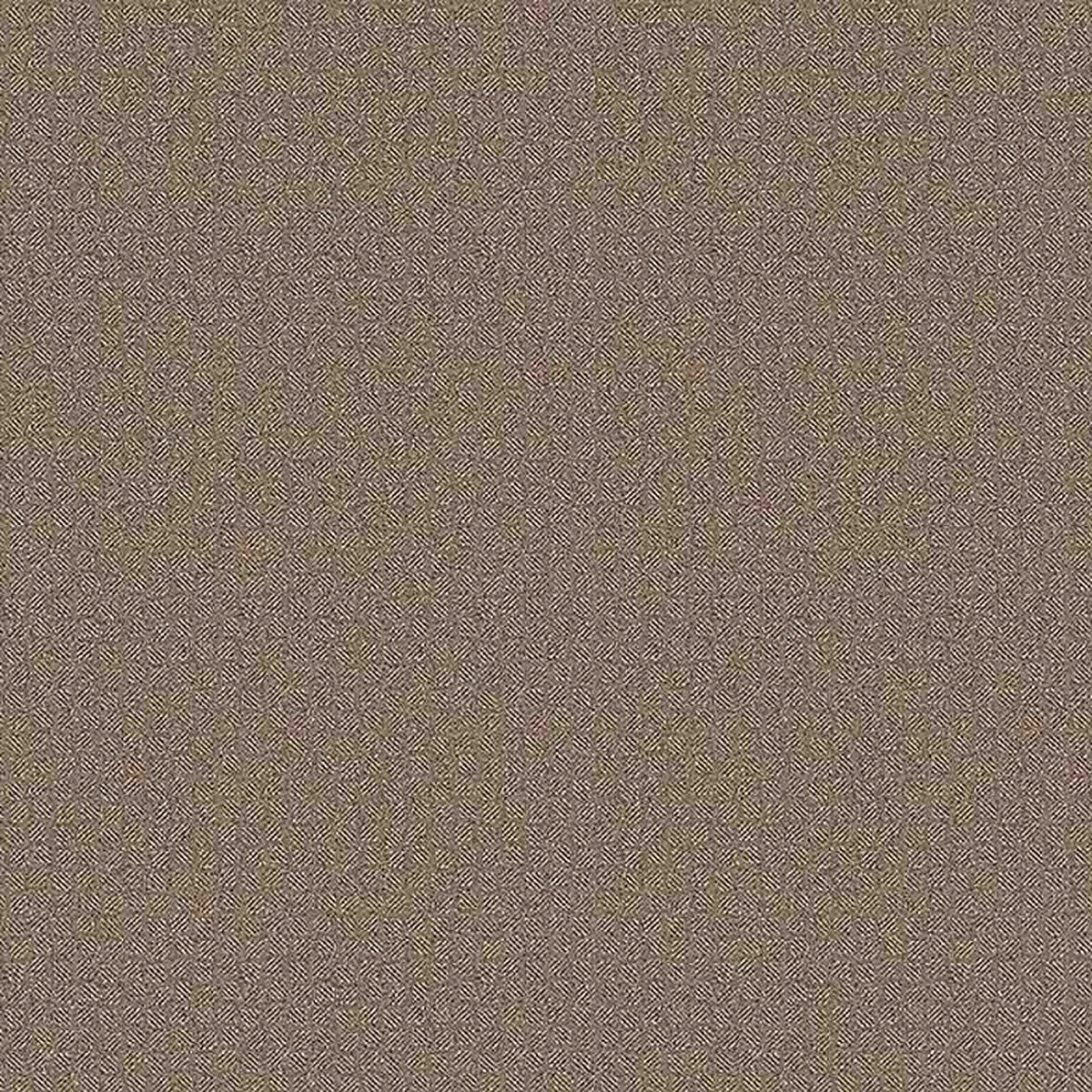 Toli | NS800 | Design I Toli | NS800 | Design I