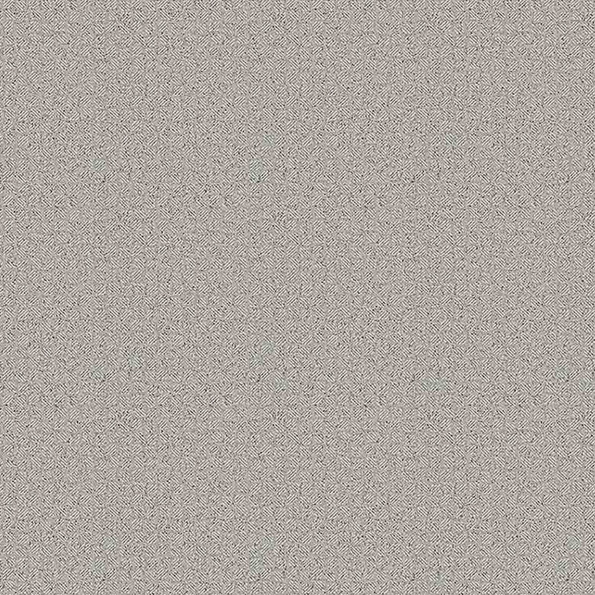 Toli | NS800 | Design I Toli | NS800 | Design I