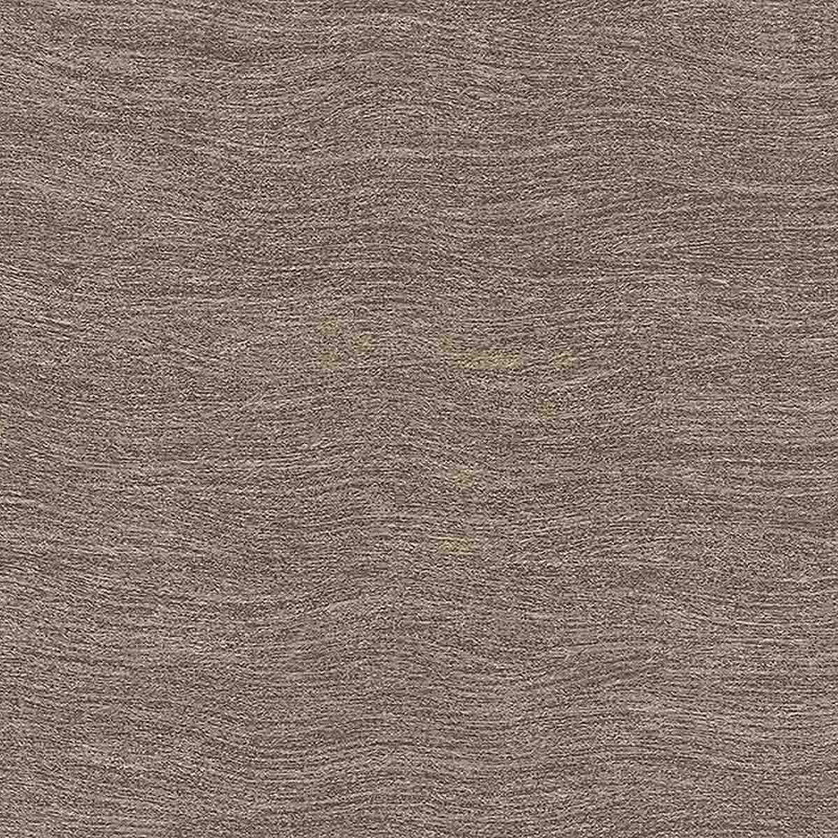 Toli | NS800 | Design III Toli | NS800 | Design III
