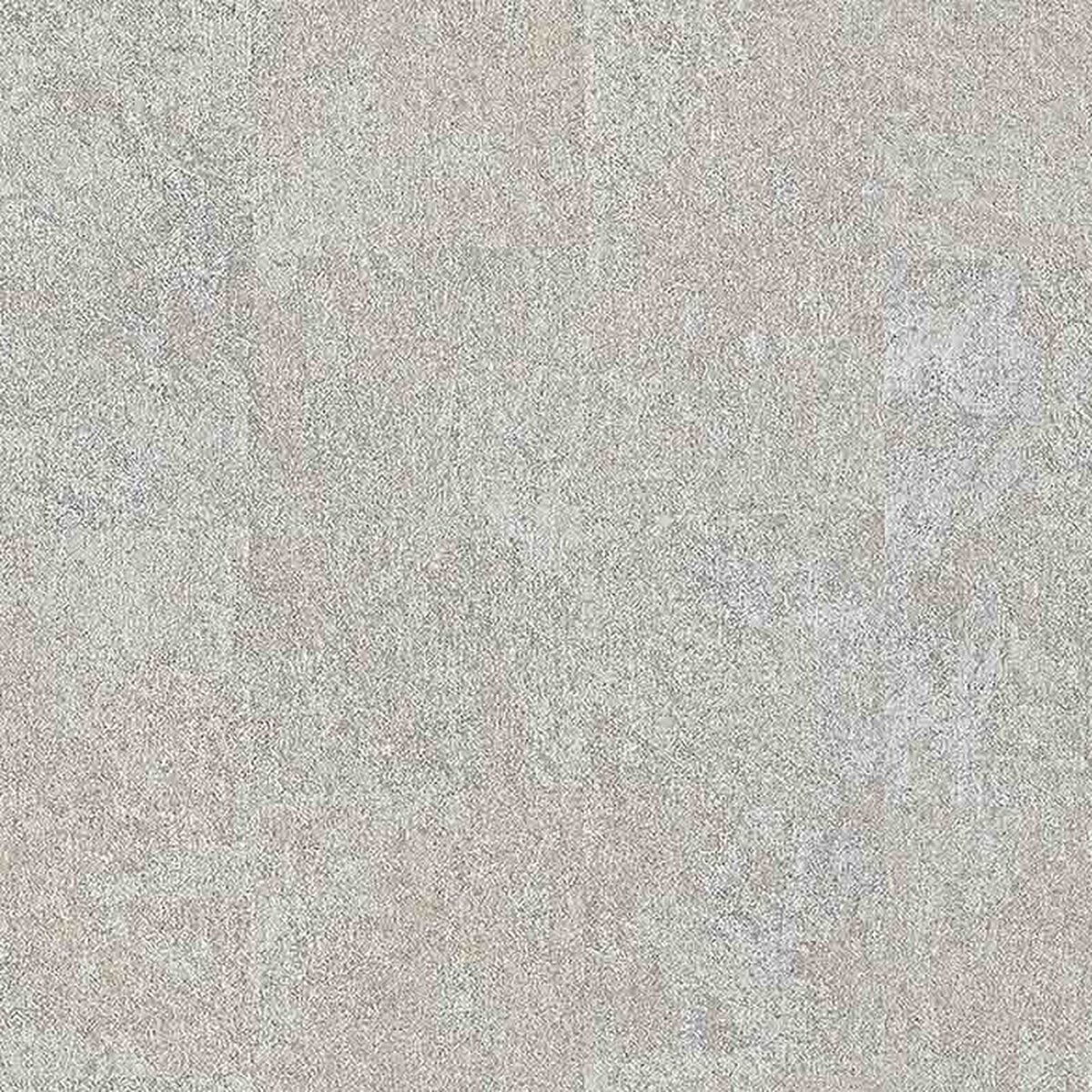 Toli | NS800 | Design II Toli | NS800 | Design II