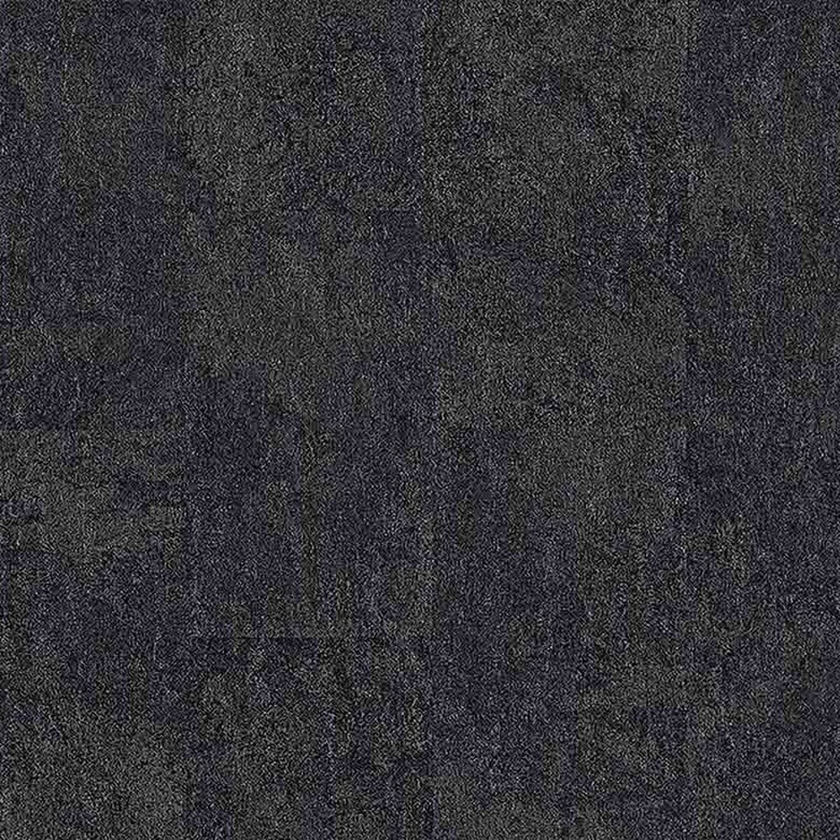 Toli | NS800 | Design II Toli | NS800 | Design II