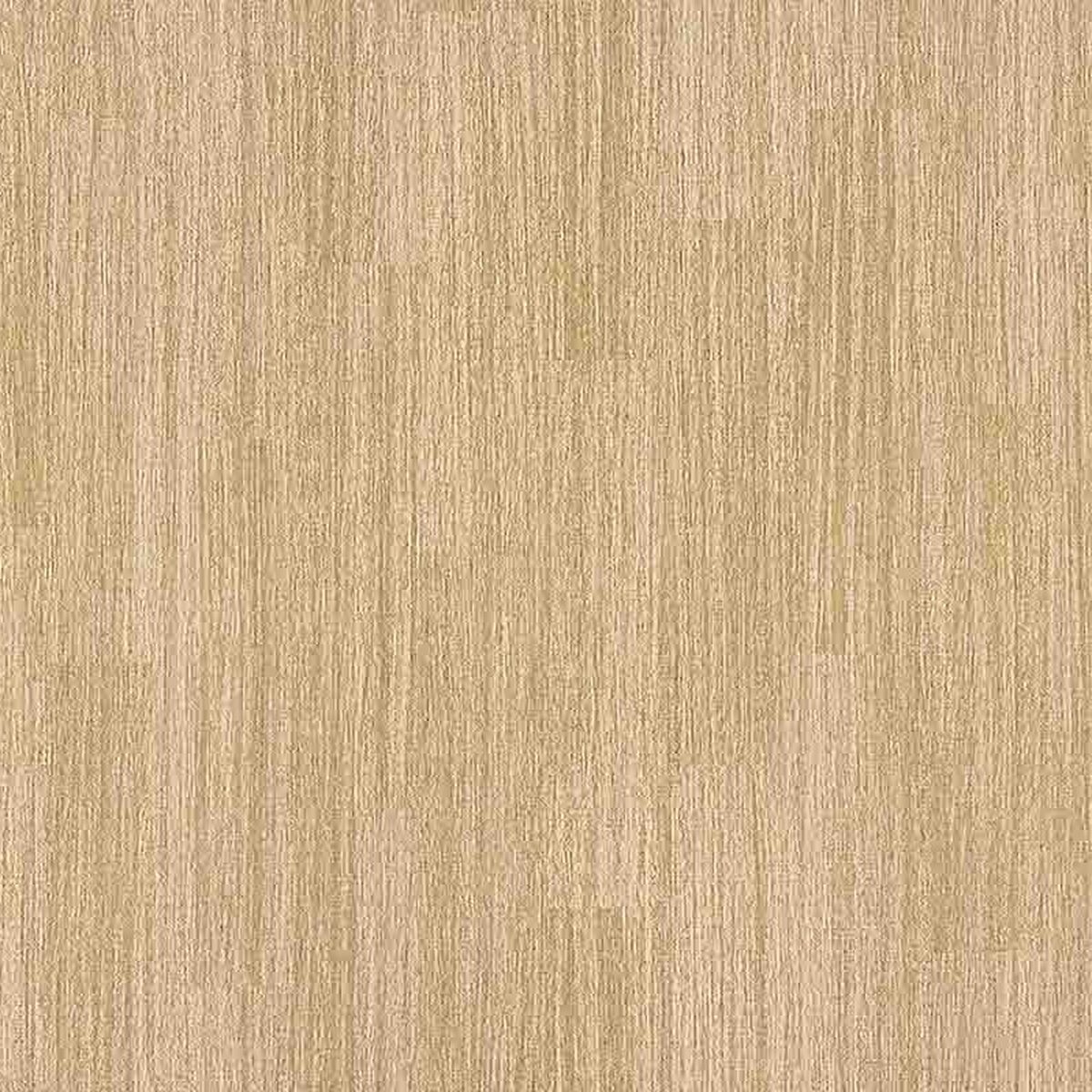 Toli | NS800 | Design VIII Toli | NS800 | Design VIII