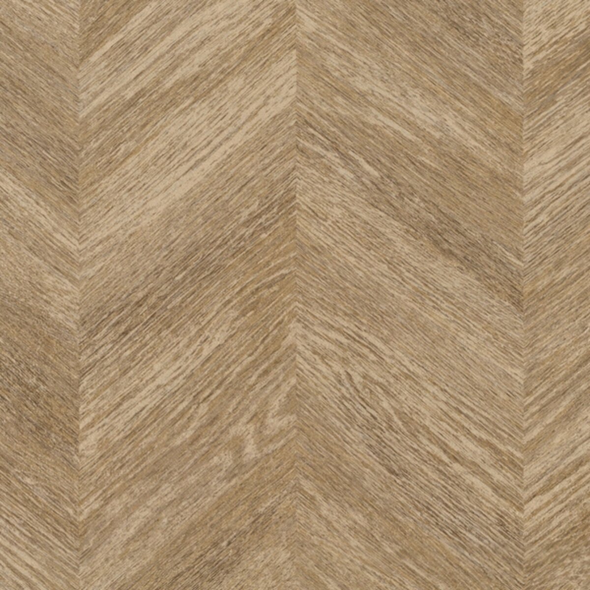 Toli | NS800 | Design VI Toli | NS800 | Design VI