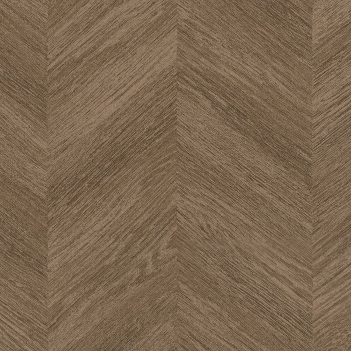 Toli | NS800 | Design VI Toli | NS800 | Design VI