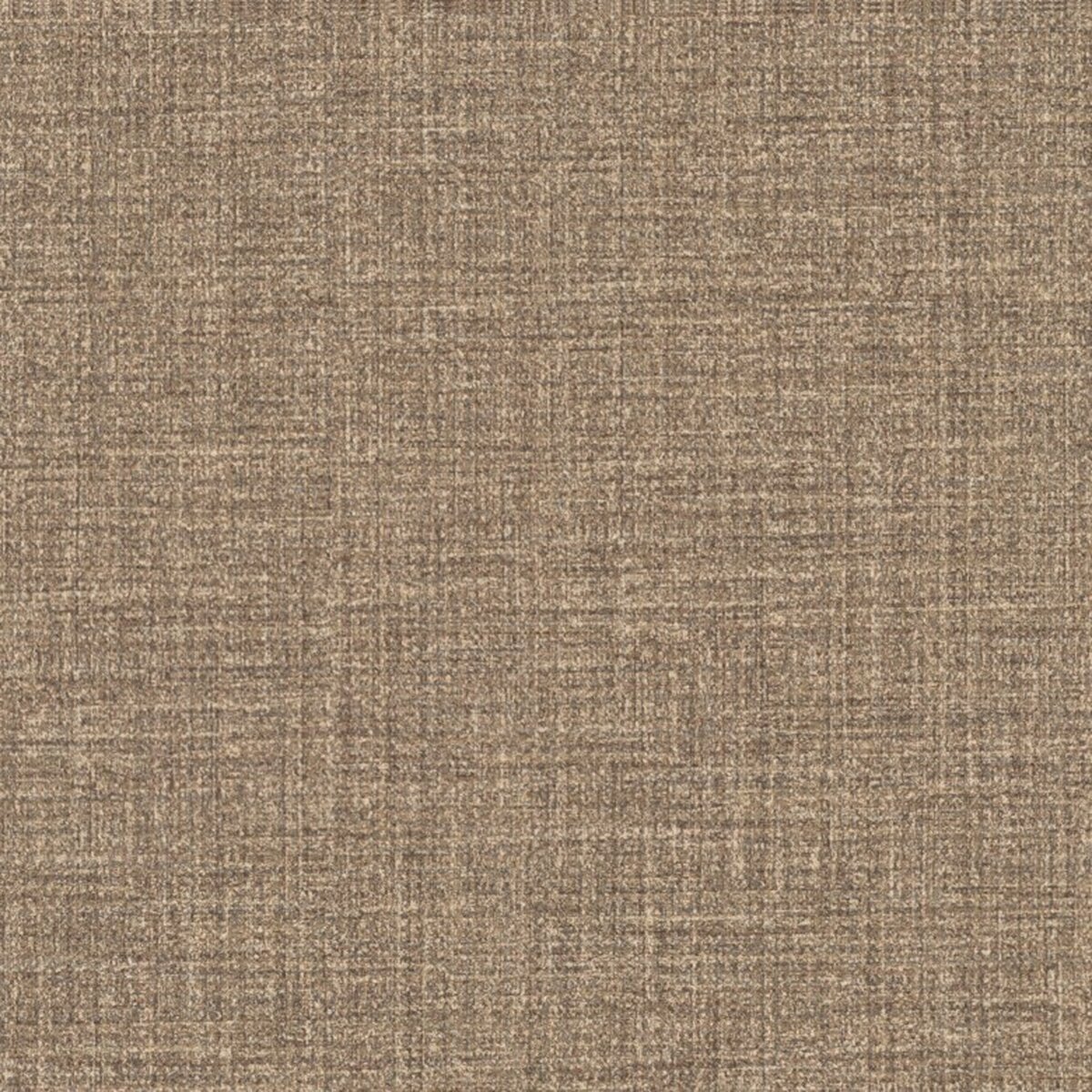 Toli | NS800 | Design X Toli | NS800 | Design X