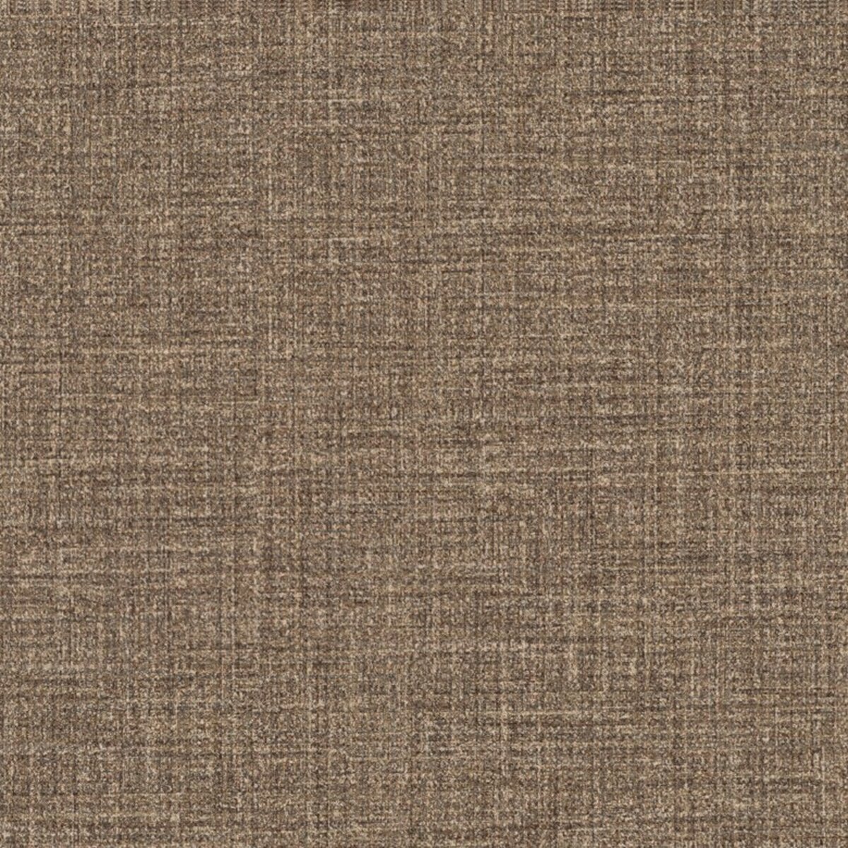 Toli | NS800 | Design X Toli | NS800 | Design X
