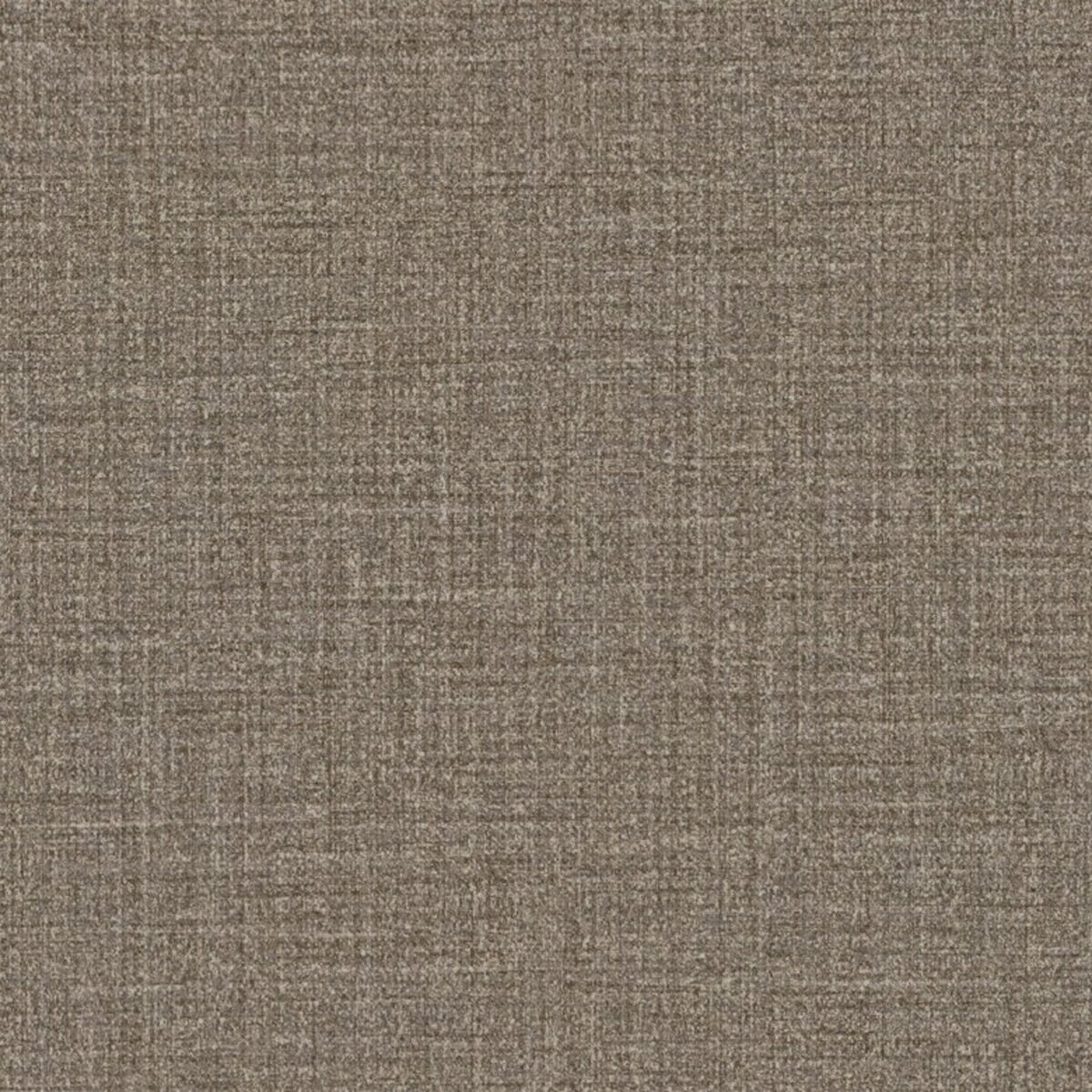 Toli | NS800 | Design X Toli | NS800 | Design X