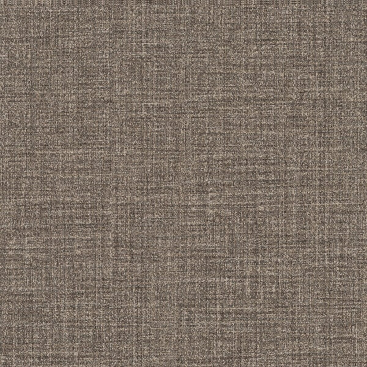 Toli | NS800 | Design X Toli | NS800 | Design X
