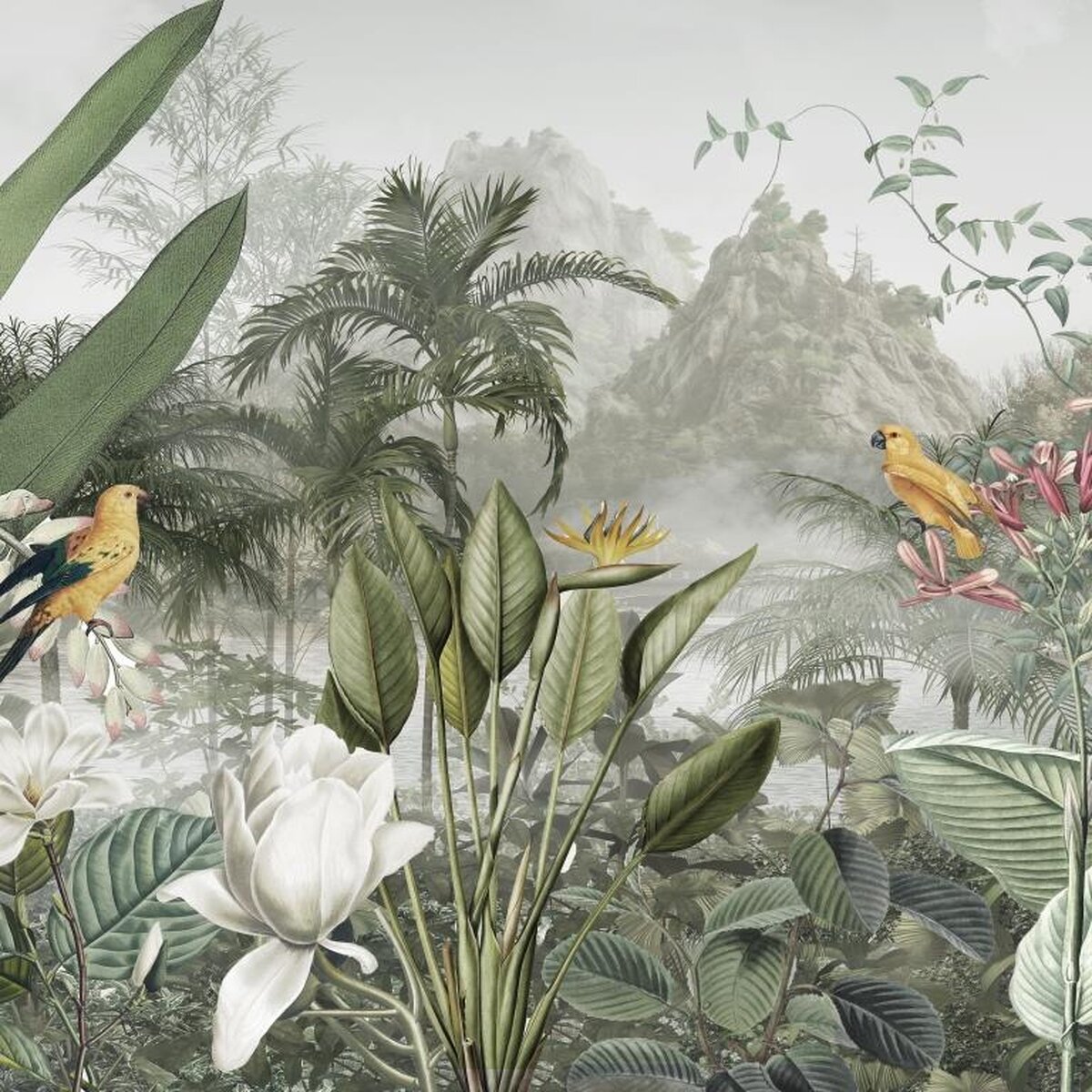 Honpo IM | Paradise | Green Tropical Honpo IM | Paradise | Green Tropical