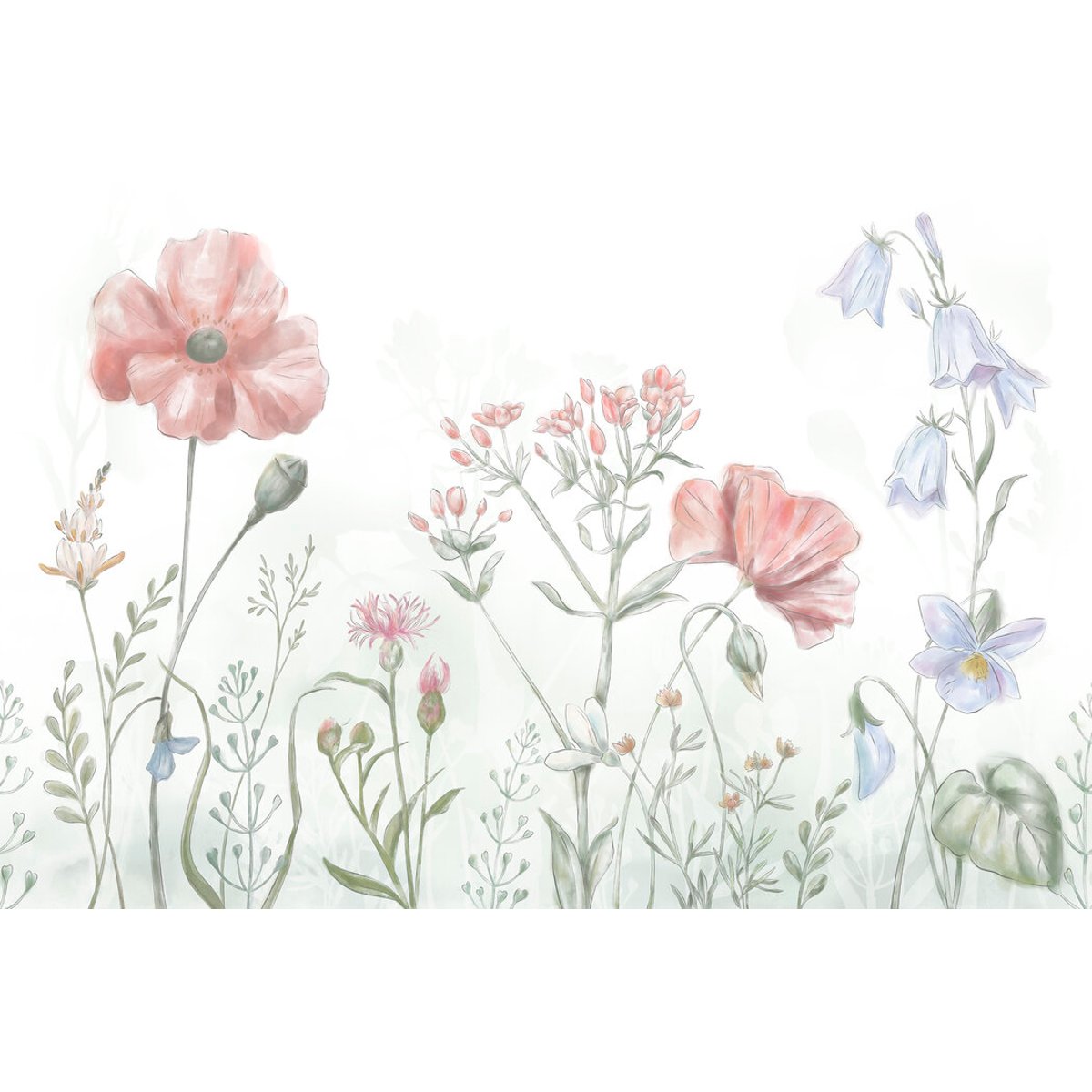 Oliver Robins | Spring Flowers Oliver Robins | Spring Flowers