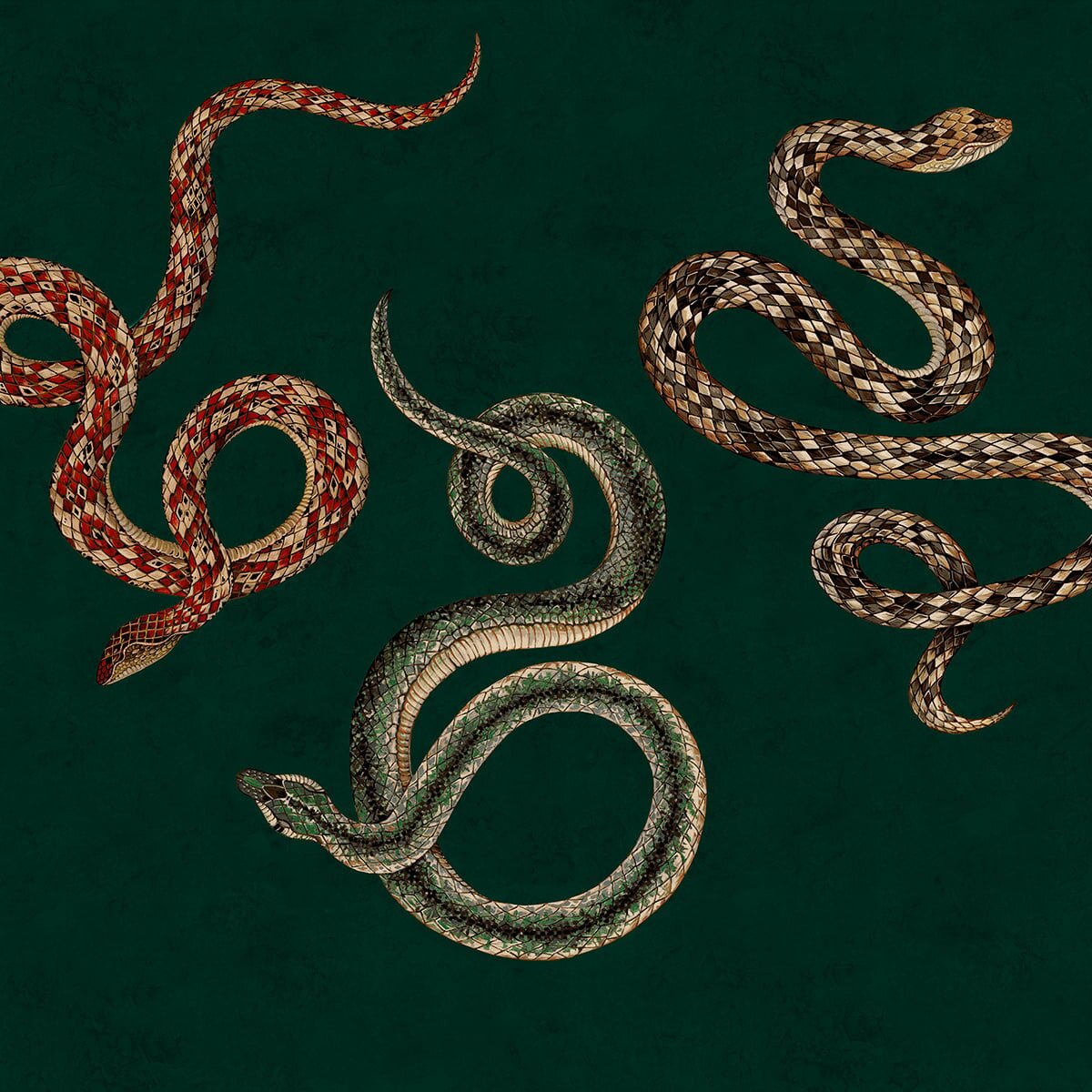 Phillip Jeffries | Serpent III Phillip Jeffries | Serpent III
