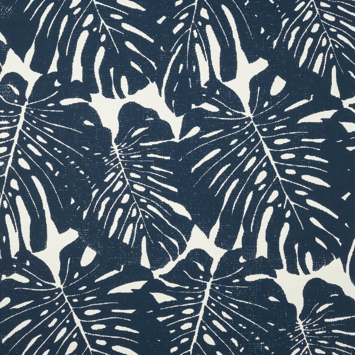 Phillip Jeffries | Jack's Jungle III Phillip Jeffries | Jack's Jungle III