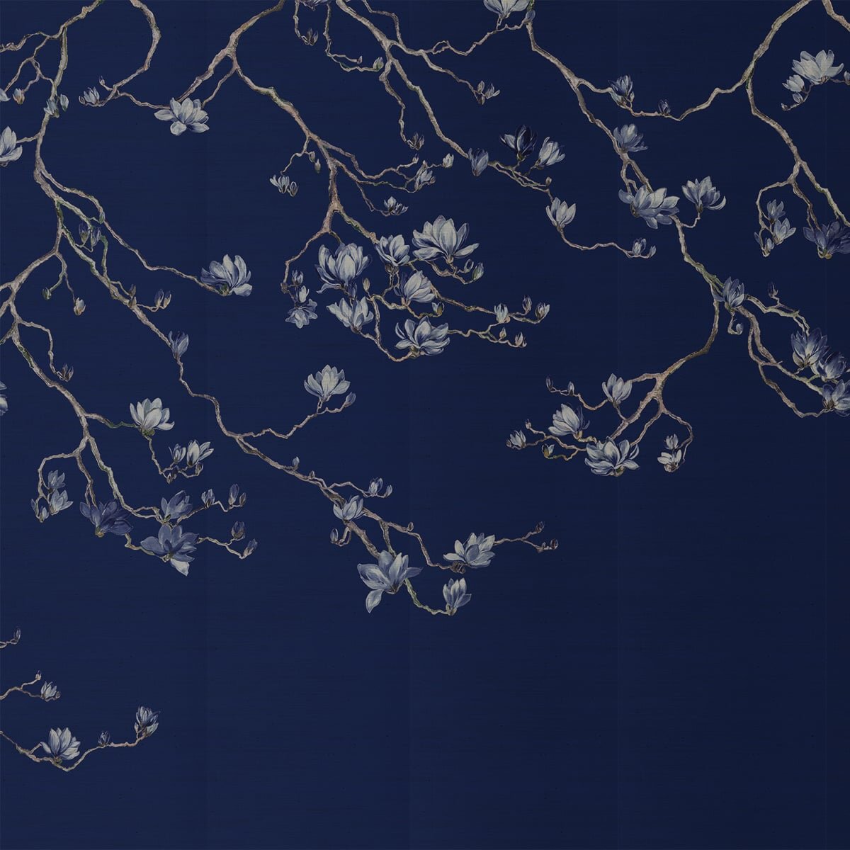 Phillip Jeffries | Blossom I Phillip Jeffries | Blossom I