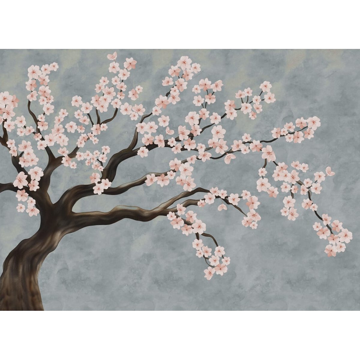 Calm Blossom I Calm Blossom I