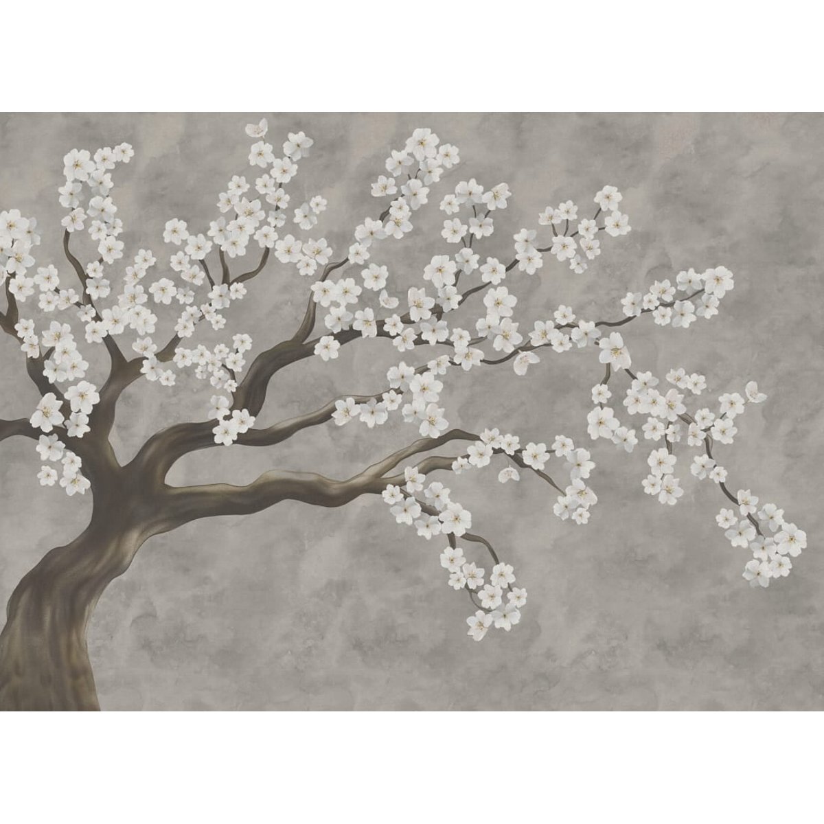 Calm Blossom II Calm Blossom II