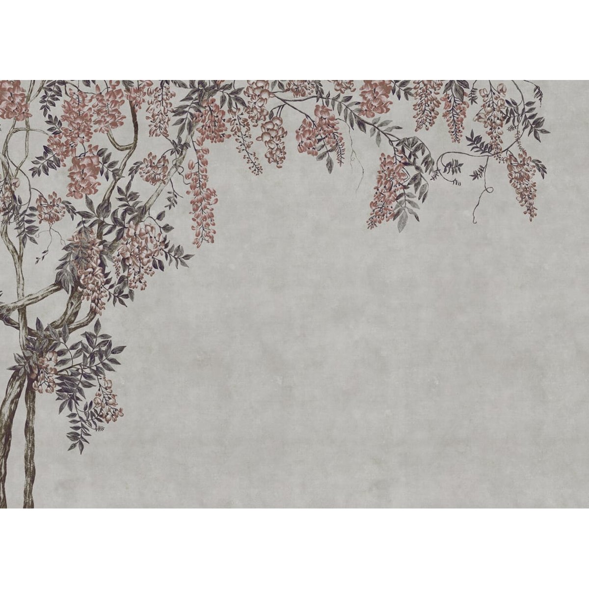 Wisteria Garden Wisteria Garden