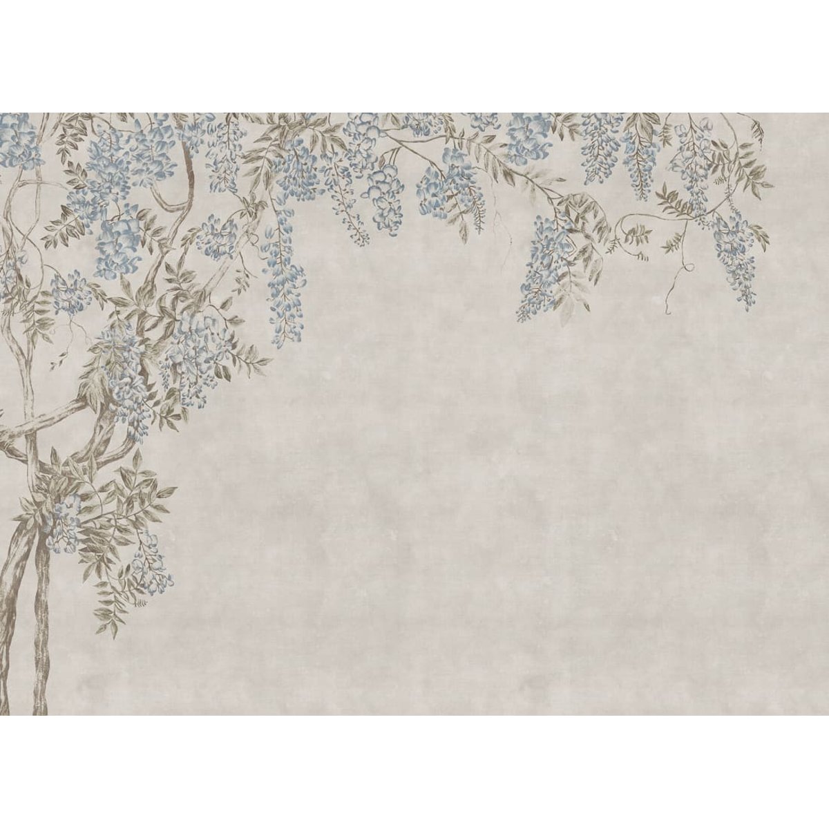 Wisteria Garden Wisteria Garden