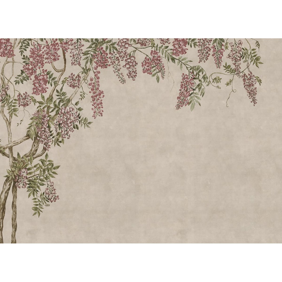 Wisteria Garden Wisteria Garden