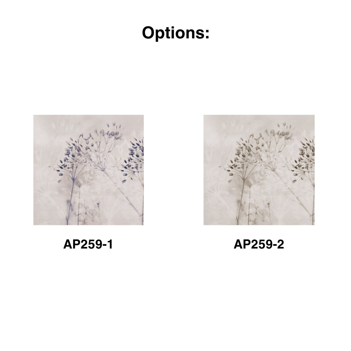 Rimura | Alma Rimura | Alma