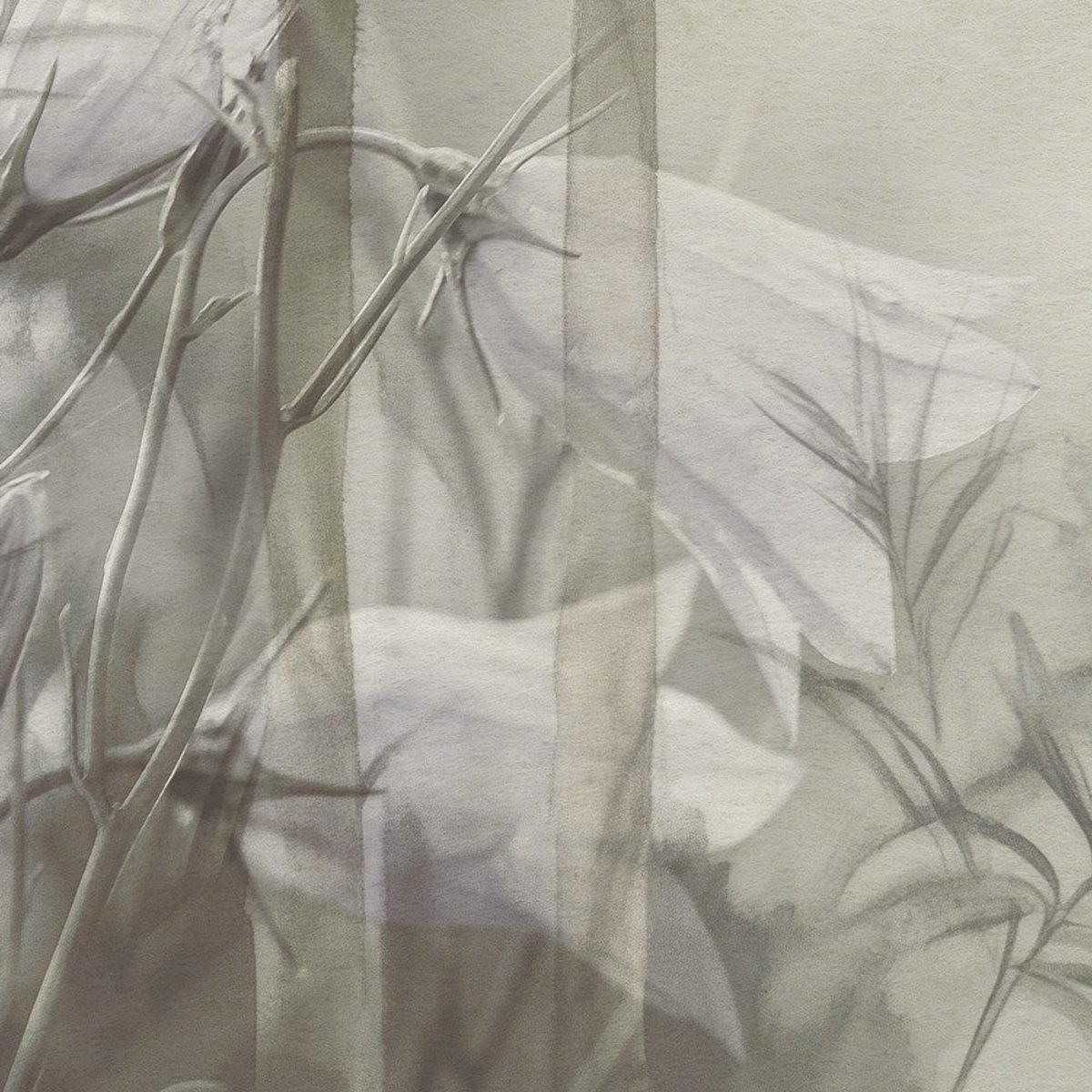 Rimura | Antigua Rimura | Antigua