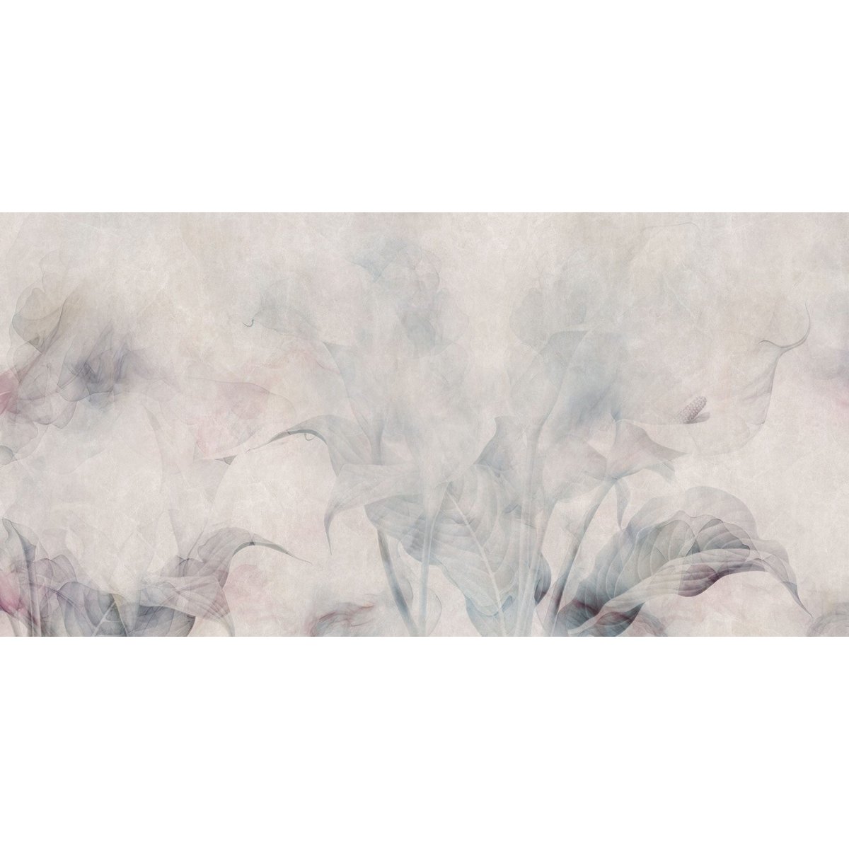 Rimura | Arum Lily Rimura | Arum Lily