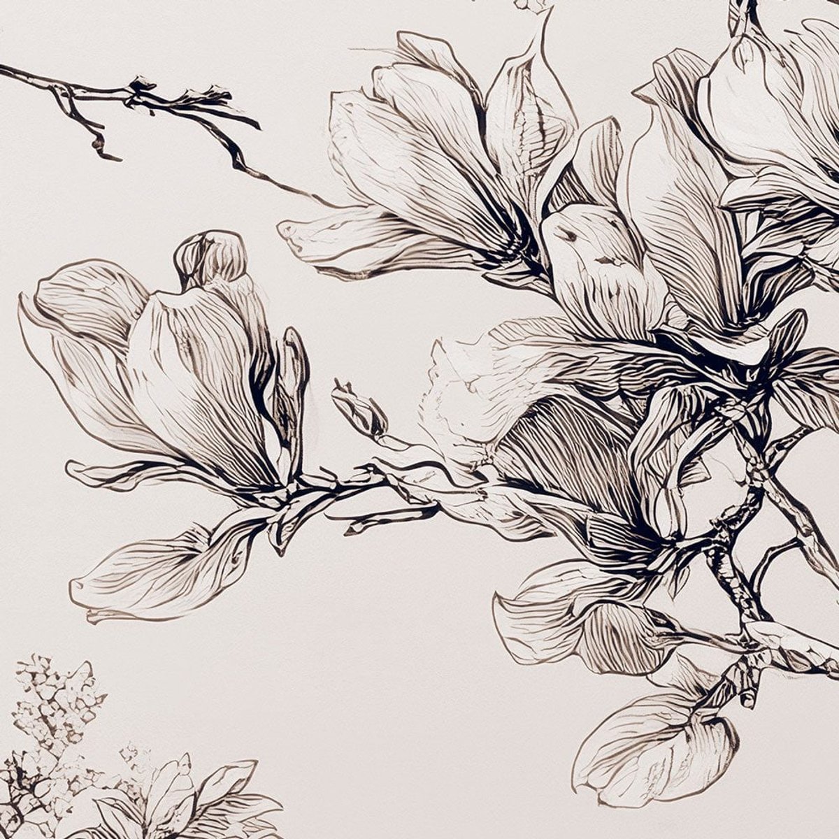 Rimura | Ciliegio Rimura | Ciliegio