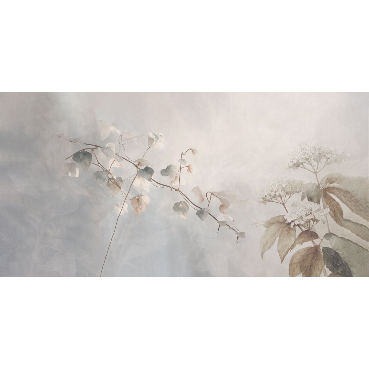 Rimura | Cloud Garden Rimura | Cloud Garden