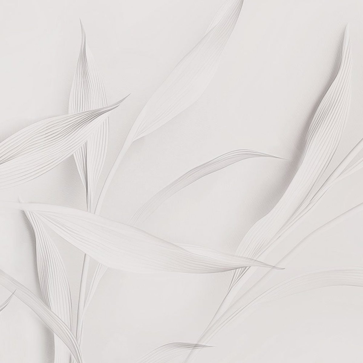 Rimura | Filigrana Rimura | Filigrana