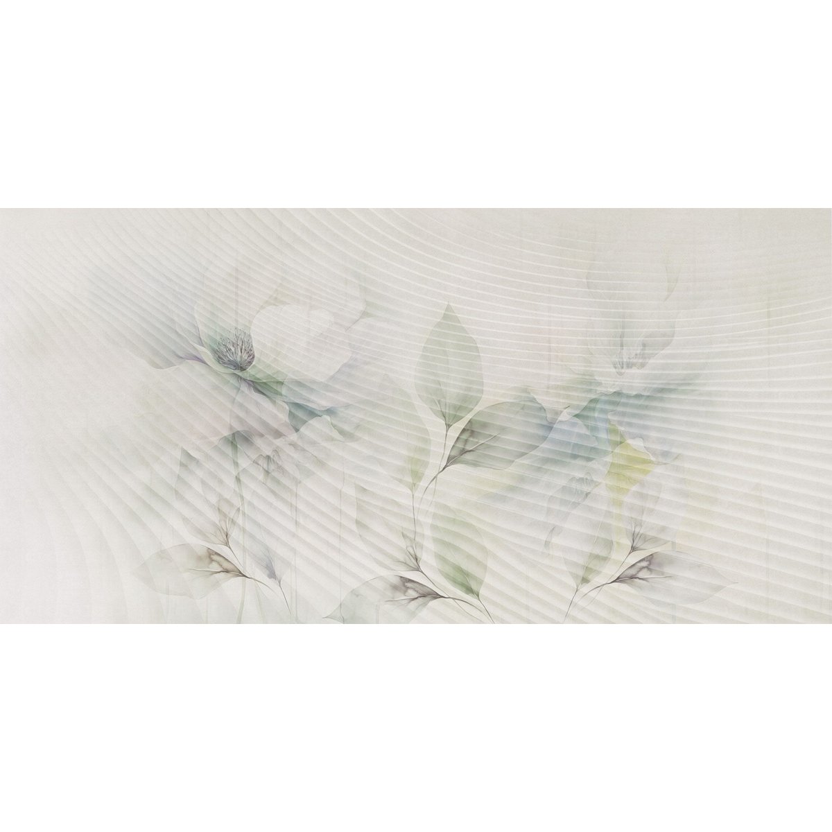 Rimura | Echo Rimura | Echo