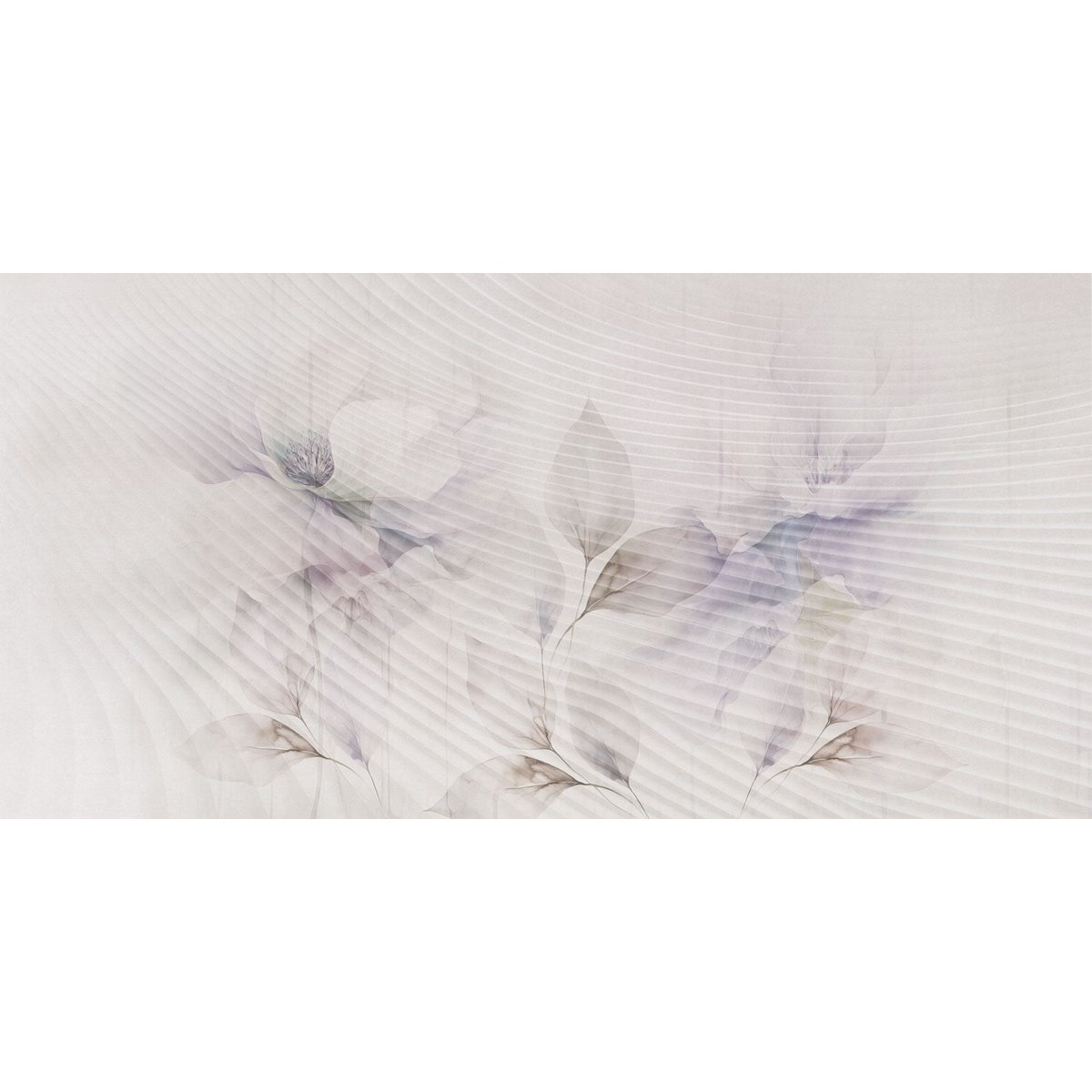 Rimura | Echo Rimura | Echo