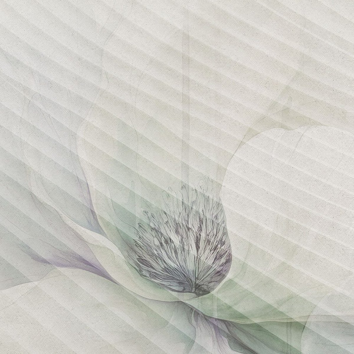 Rimura | Echo Rimura | Echo