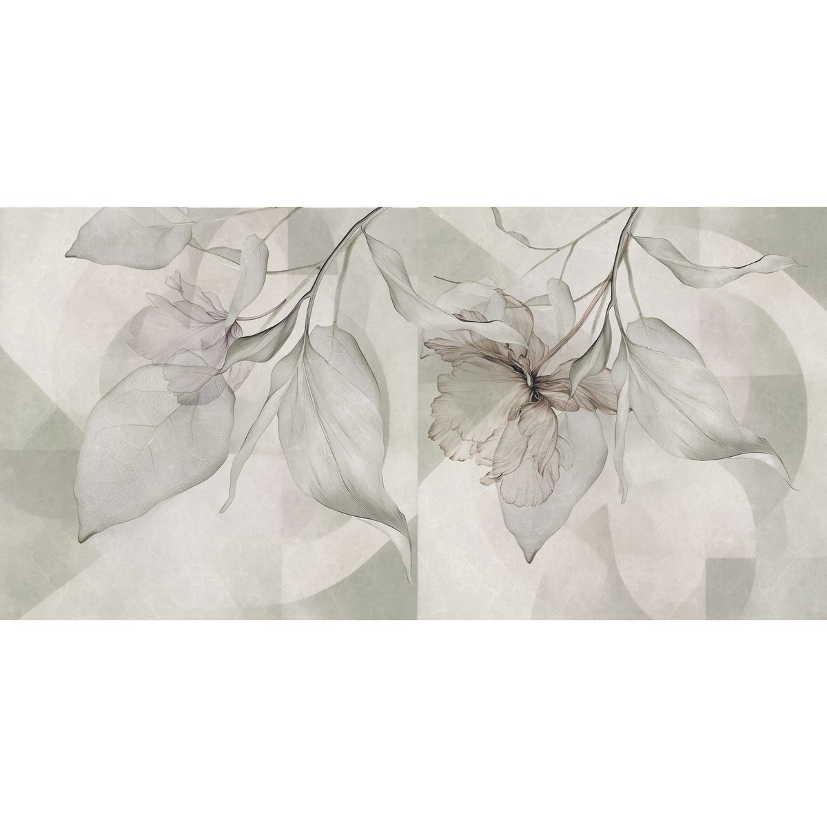 Rimura | Emerald Rimura | Emerald