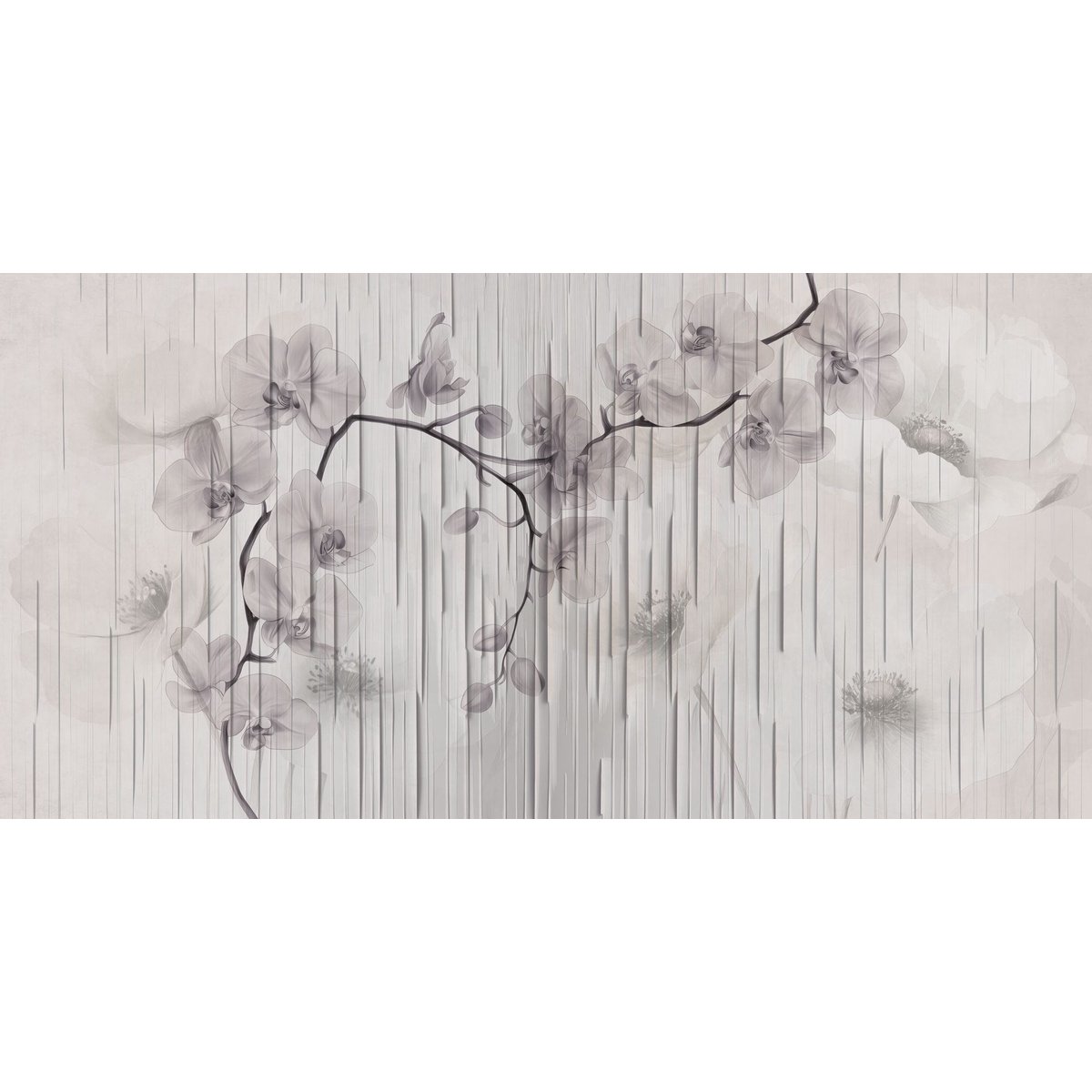 Rimura | Hime Rimura | Hime