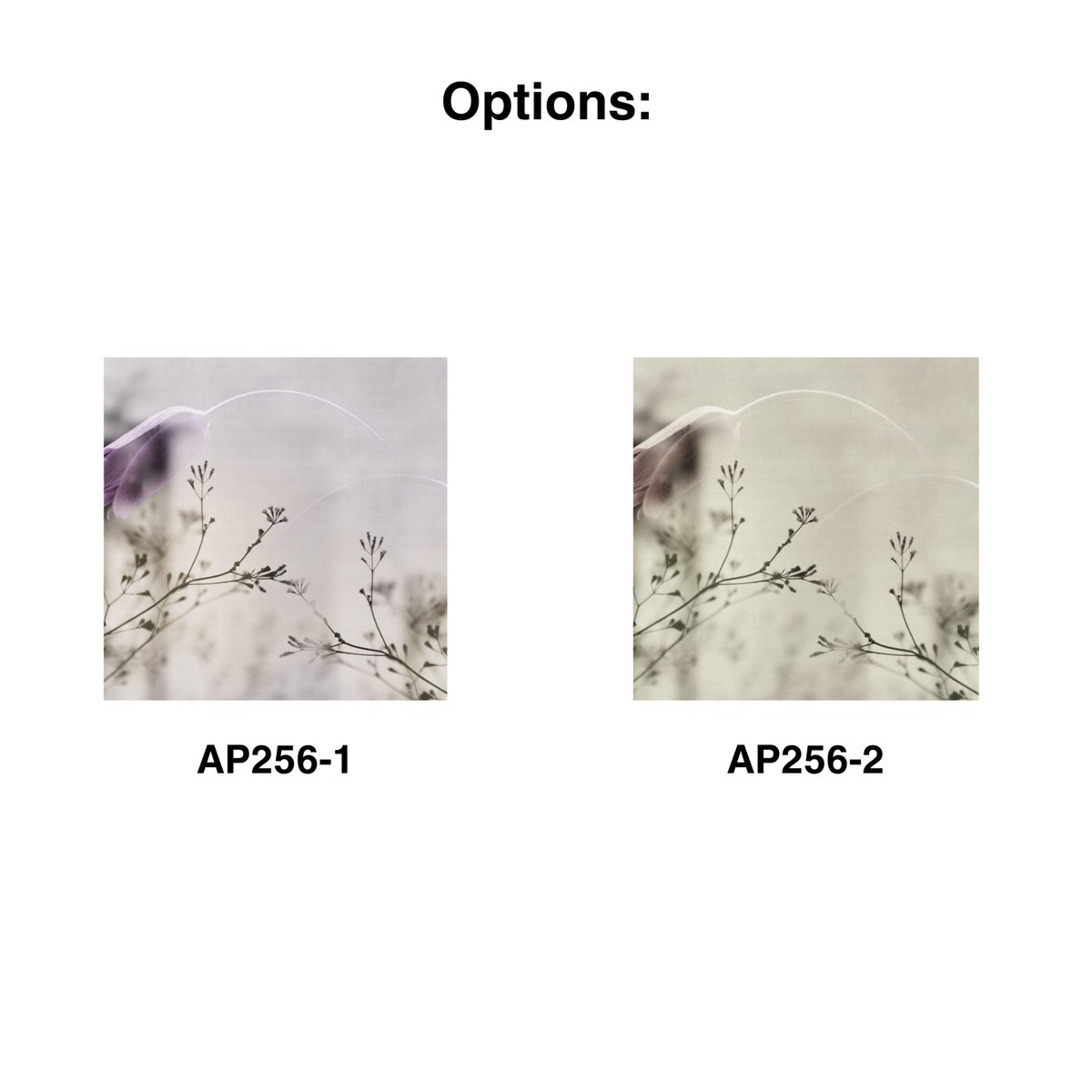 Rimura | Inchino Rimura | Inchino