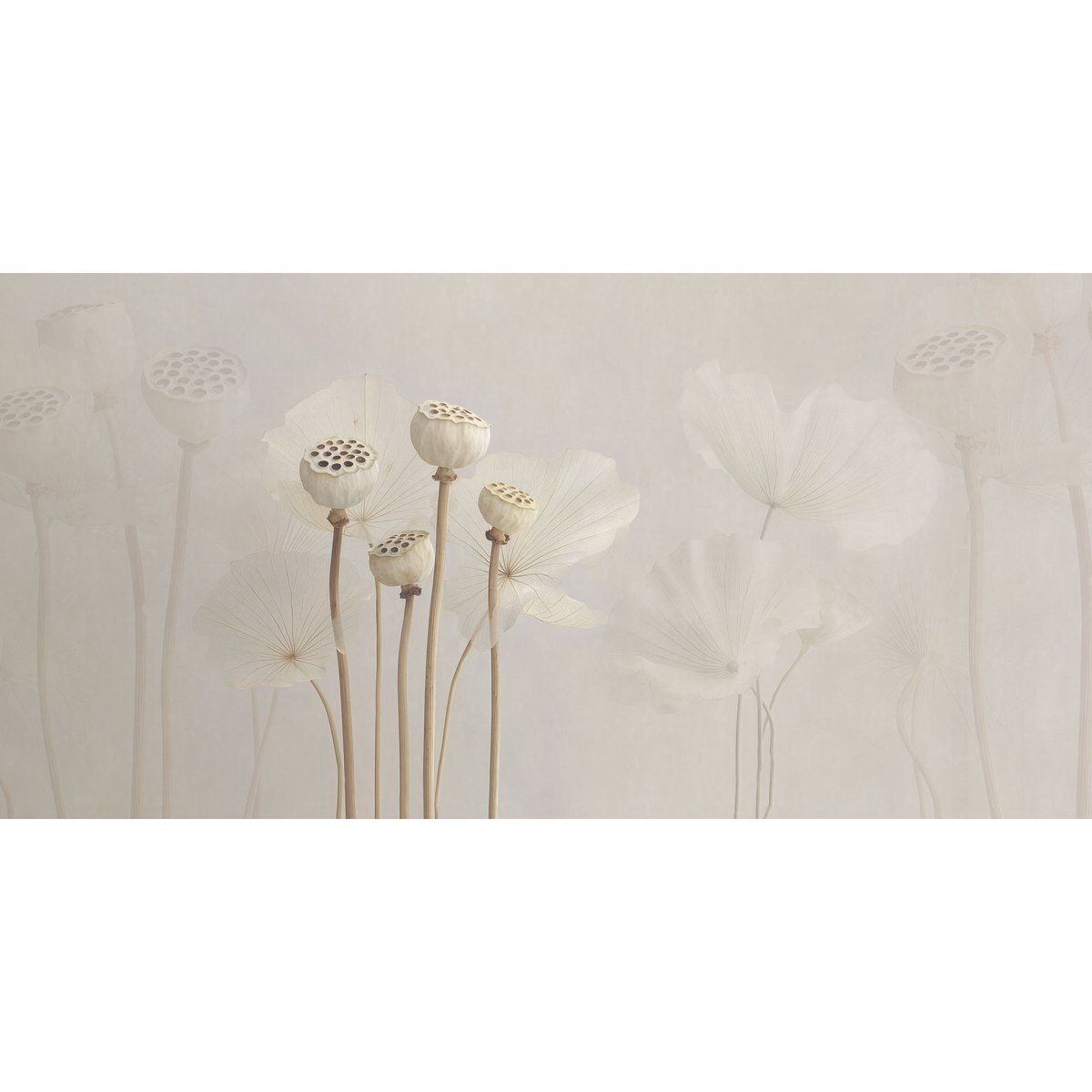 Rimura | Navajo Rimura | Navajo