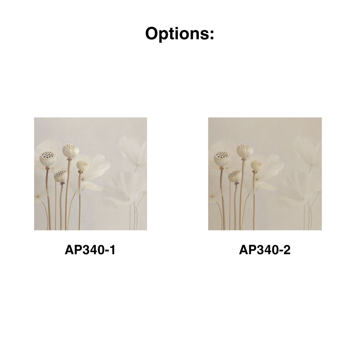 Rimura | Navajo Rimura | Navajo