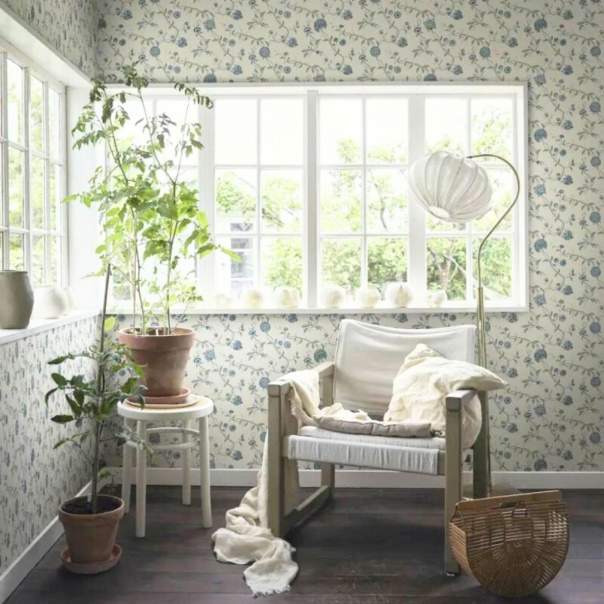 Sandberg | Adelaide Sandberg | Adelaide