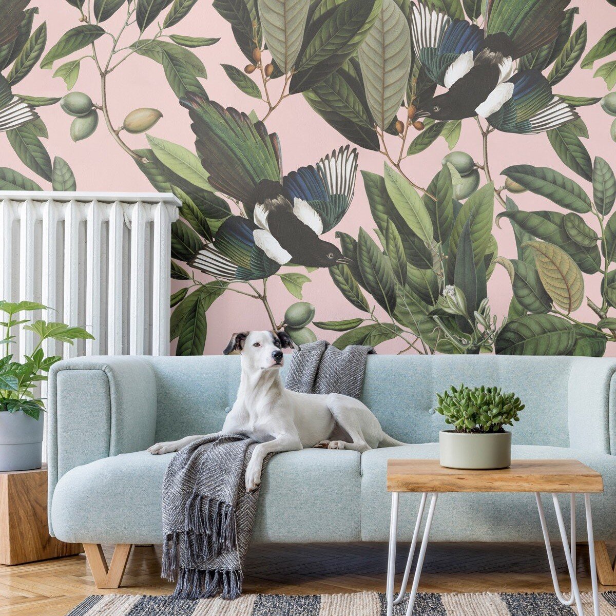 Wallcolors | Magpie Wallcolors | Magpie