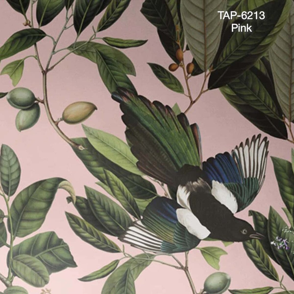 Wallcolors | Magpie Wallcolors | Magpie